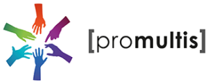 PromultisCorporateLogo